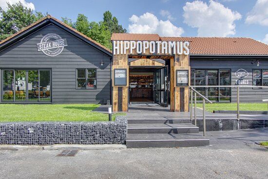 Hippopotamus