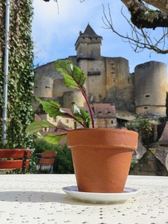 Les Machicoulis