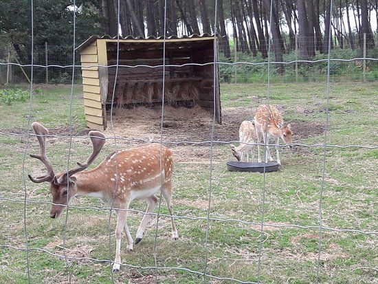 le parc Animalia