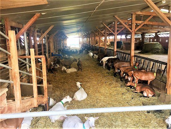 La Ferme du Maras