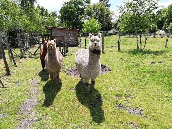 Ferme Le Hillot