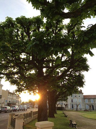 Square Des Anciens Combattants