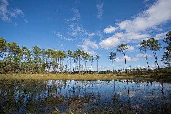 Parc Naturel Régional des Landes de Gascogne