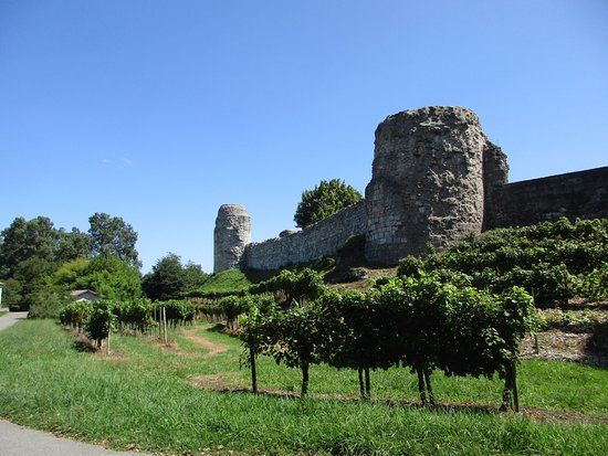 château de Bellocq