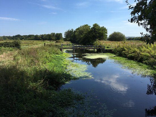 Marais de Bruges