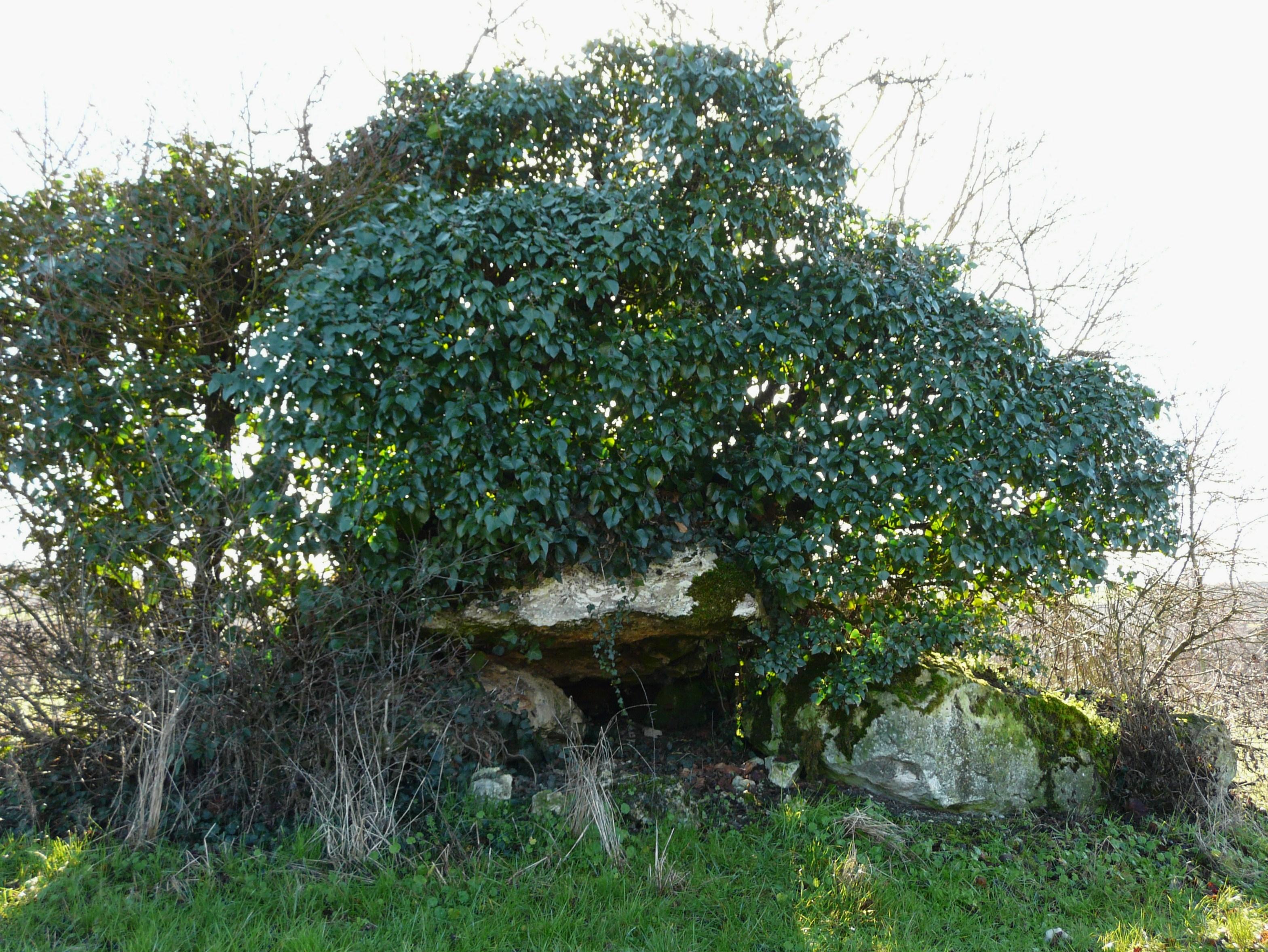 dolmen d'Eylias