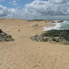 Plage de la Savane