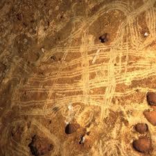 Grotte de Rouffignac