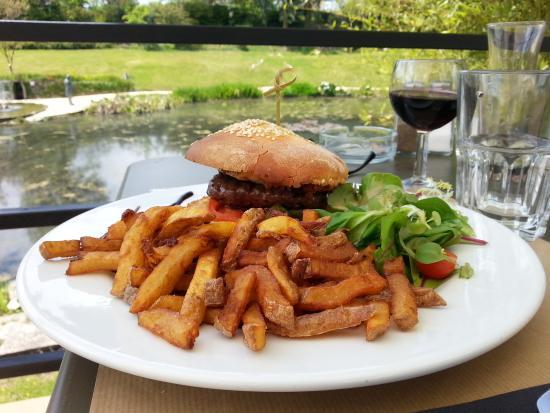 Latour-Marliac-Café Marliacea
