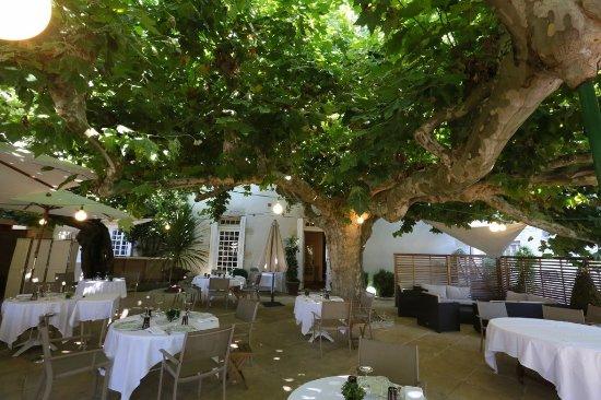 Maison Claude Darroze Restaurant