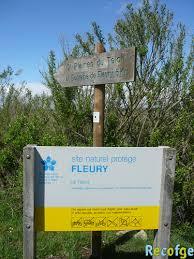 les Plaines du Teich
