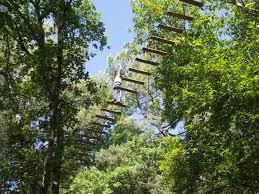 La Forêt des Écureuils