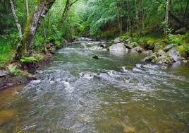 Triouzoune