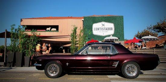 Contistador