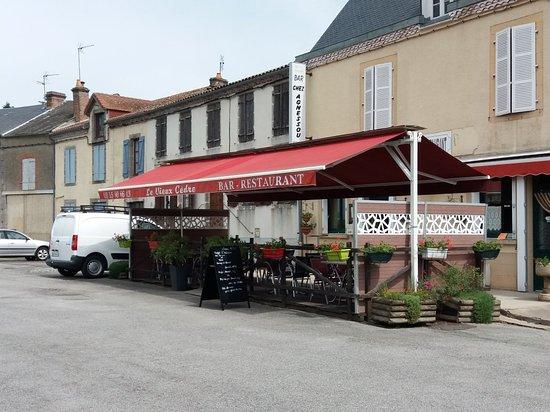 Le Vieux Cèdre