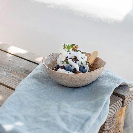 Vegetal Yogurt