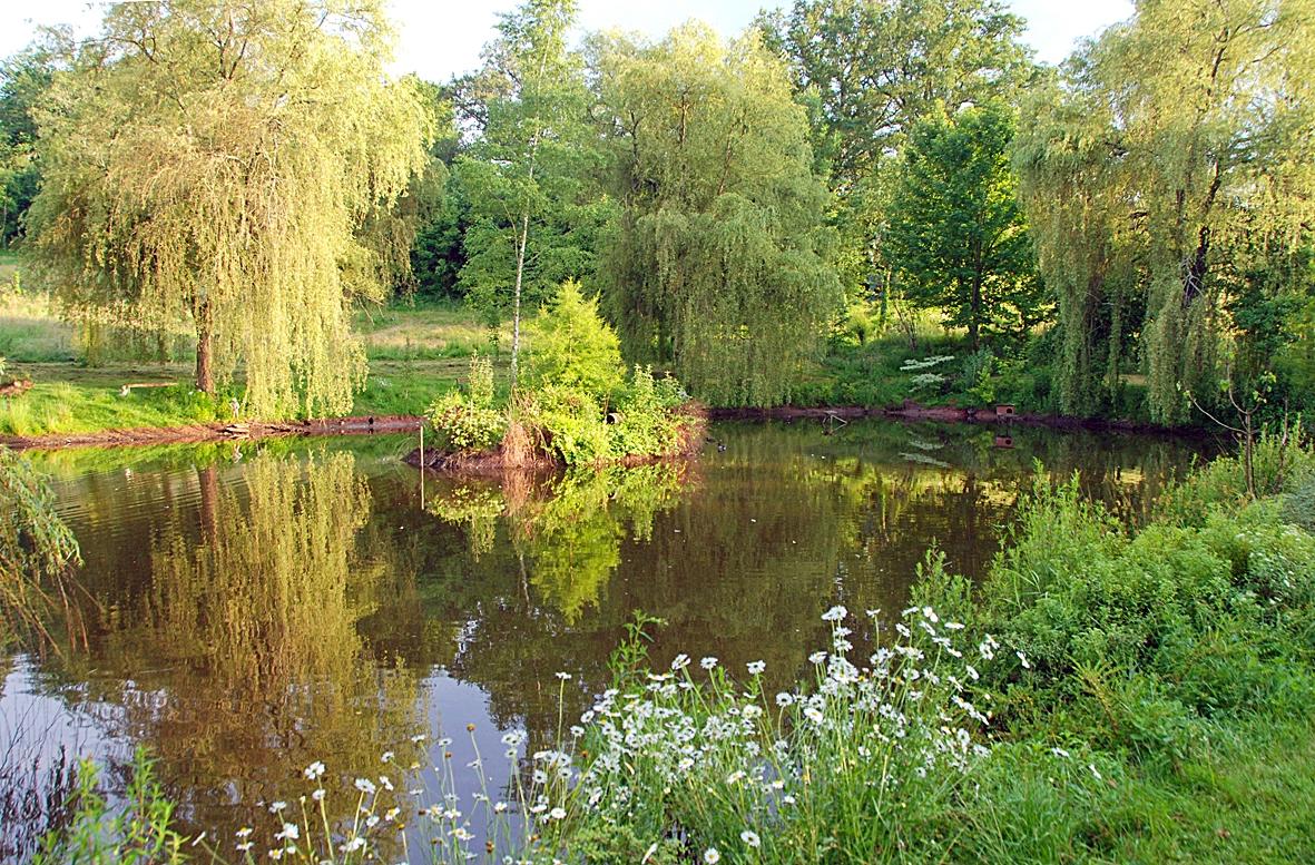 l'arboretum de la Tuillère