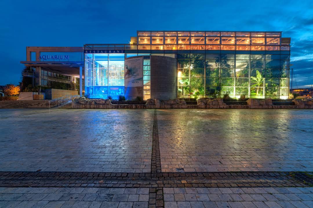 l'Aquarium de La Rochelle