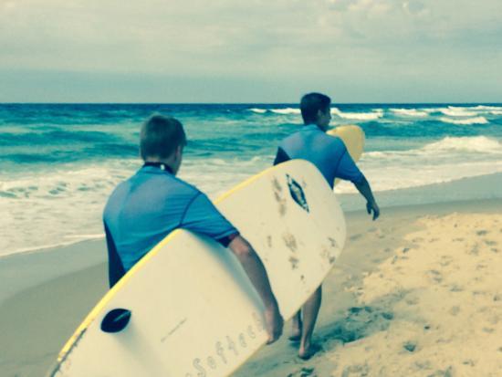 Kiwi Surf