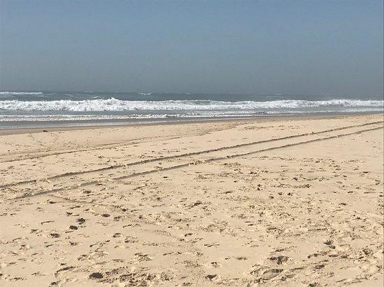 Plage de la Salie-Nord