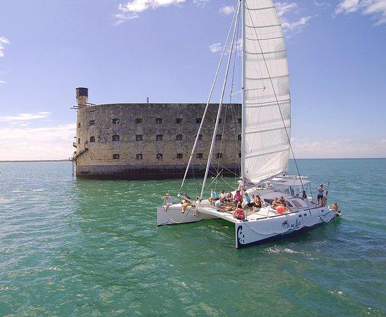 Ile ou Aile Catamaran