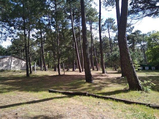 La Foret de Robin