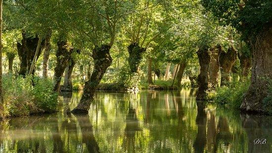 Venise Verte Evasion