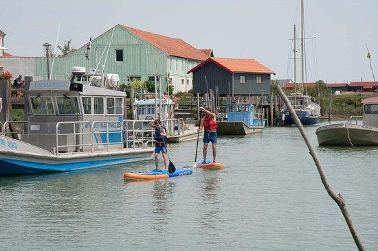 Kayak et Nature