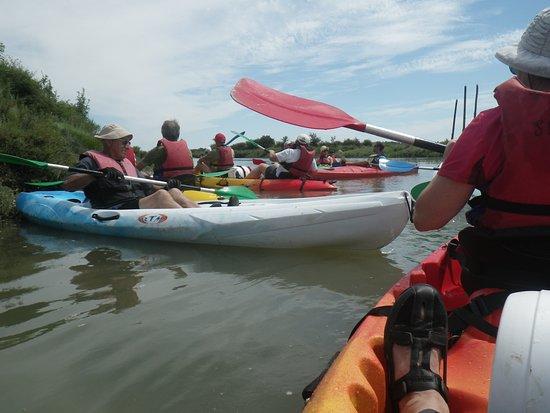 Seudrement Kayak Day Tours