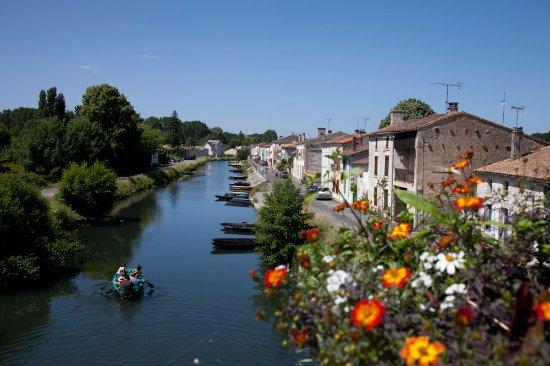 Green Venice
