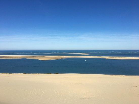 Banc D'arguin