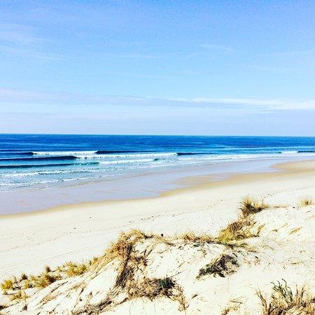 IT'S ON Surf School