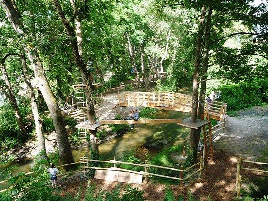 Arbor parc