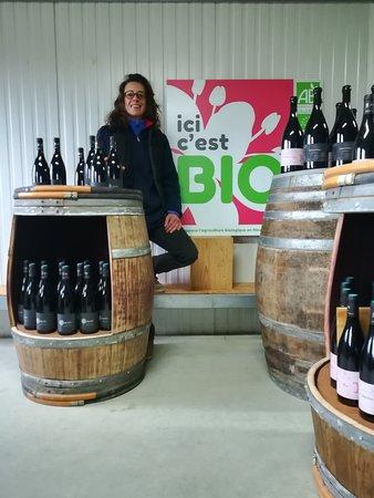 Domaine Salisquet