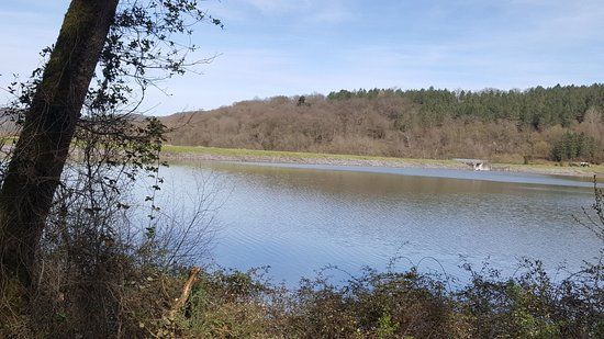 Lac du Gabassot