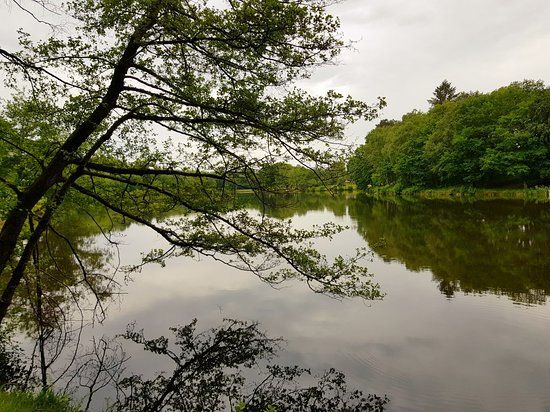 Lac de Pontcharal
