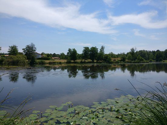 Etang de Brocas