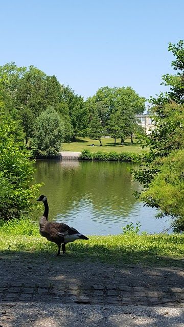 parc de Bourran