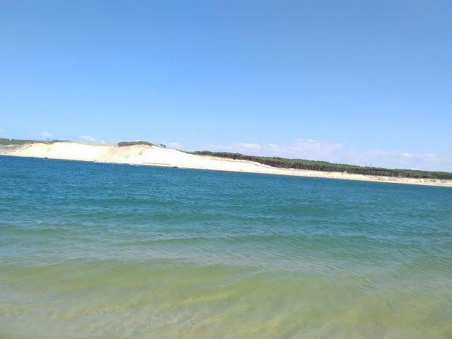 la Réserve naturelle nationale du Banc d'Arguin