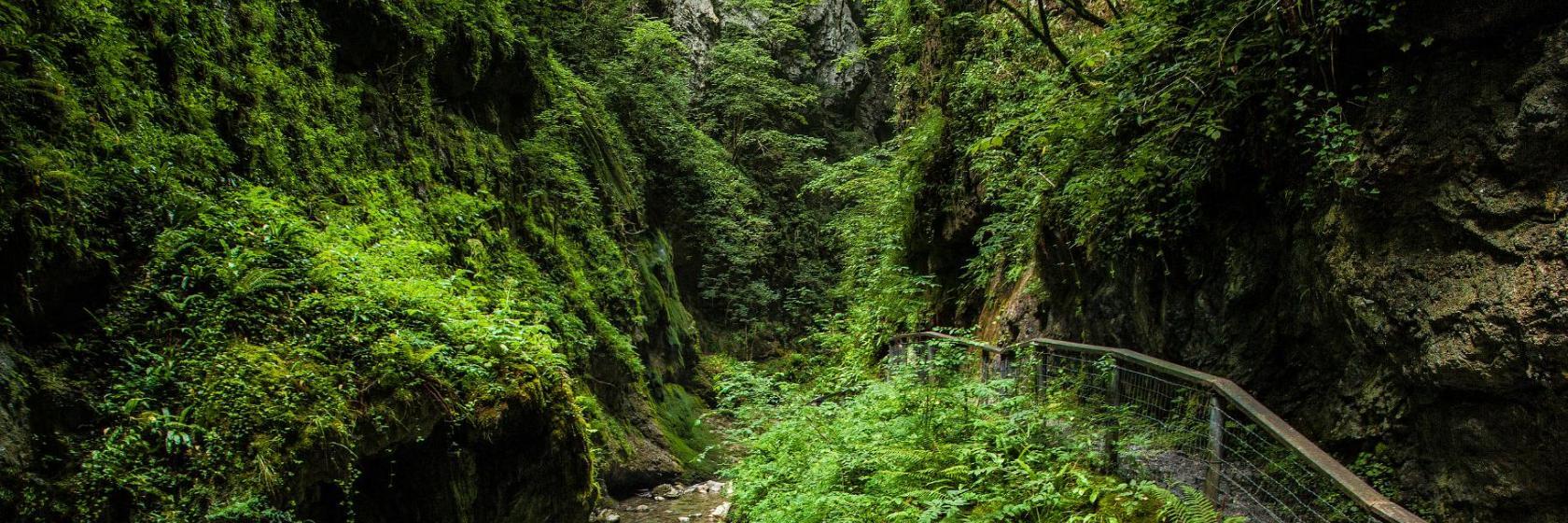 Gorge de Kakuetta