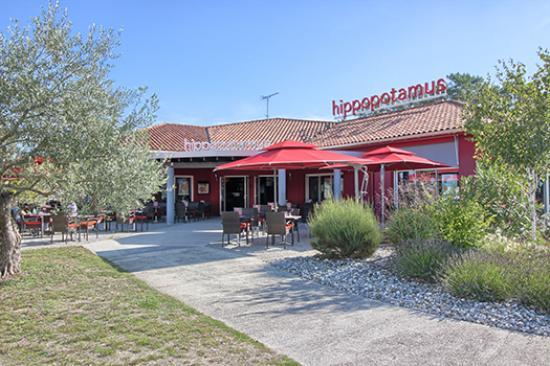 Hippopotamus Castets